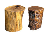 Set of 5 Raw Wood Rough Grain Finish Irregular Shape Short Stool Table ws4826S