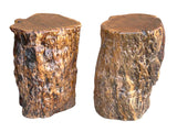 Set of 5 Raw Wood Rough Grain Finish Irregular Shape Short Stool Table ws4826S