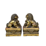 Pair Chinese Light Brown Copper Metal Foo Dog Lion Fengshui Figures ws4201S