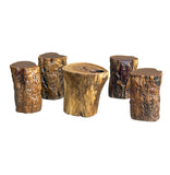 Set of 5 Raw Wood Rough Grain Finish Irregular Shape Short Stool Table ws4826S