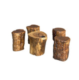 Set of 5 Raw Wood Rough Grain Finish Irregular Shape Short Stool Table ws4826S