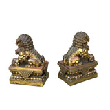 Pair Chinese Light Brown Copper Metal Foo Dog Lion Fengshui Figures ws4201S