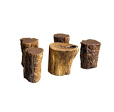 Set of 5 Raw Wood Rough Grain Finish Irregular Shape Short Stool Table ws4826S