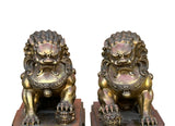 Pair Chinese Light Brown Copper Metal Foo Dog Lion Fengshui Figures ws4201S