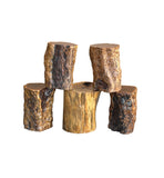 Set of 5 Raw Wood Rough Grain Finish Irregular Shape Short Stool Table ws4826S