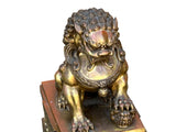 Pair Chinese Light Brown Copper Metal Foo Dog Lion Fengshui Figures ws4201S