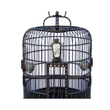 Chinese Birdcage Art