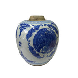 Oriental Handpaint Bird Bat Small Blue White Porcelain Ginger Jar ws2324S