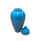 Bright Blue Glaze Porcelain Fine Finish Point Lid Jar ws2714S