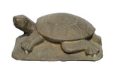 Gray Brown Color Stone Turtle Lotus Zen Garden Figure mh165S