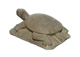 Gray Brown Color Stone Turtle Lotus Zen Garden Figure mh165S